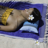 Beach cushion Cap Ferret